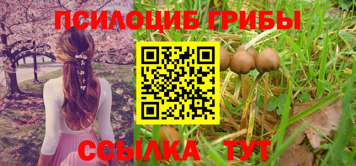 Псилоцибиновые грибы ЛСД Елец