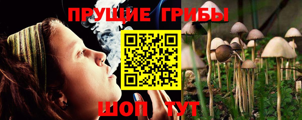 Елец  Псилоцибиновые грибы мицелий  закладка  Псилоцибиновые грибы прущие грибы  Вход с VPN 